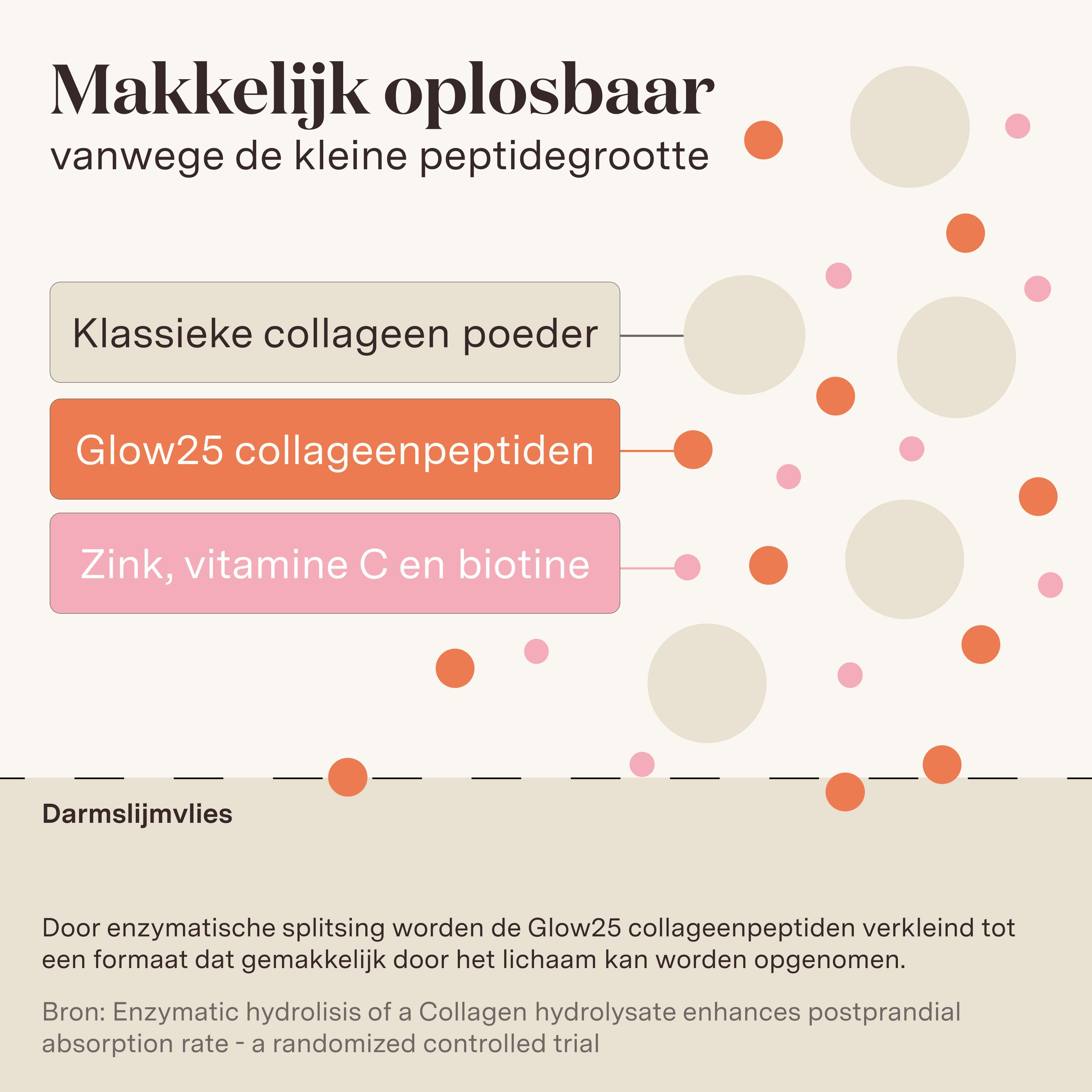 Grafische illustratie van voordelen Glow25 Collageen Plus, inclusief vitamine C en biotine. Lost makkelijk op in vergelijking met andere collageenpoeders door enzymatische behandeling.