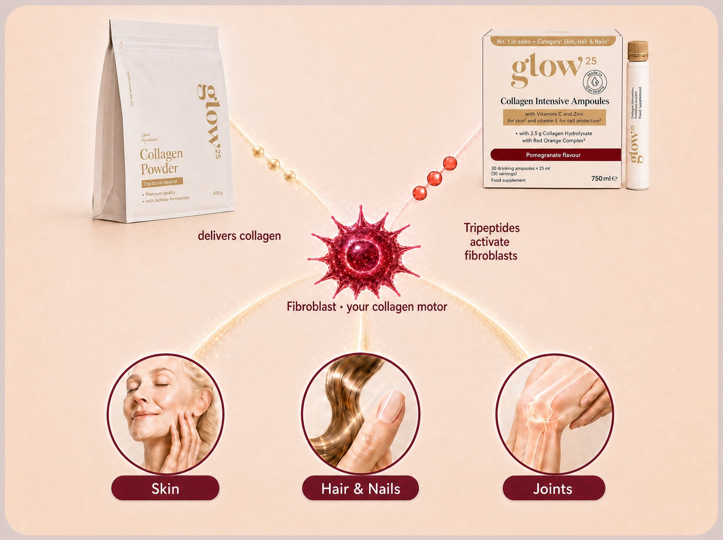 Collagen powder and Collagen Intensive Ampoules activate the collagen motor together